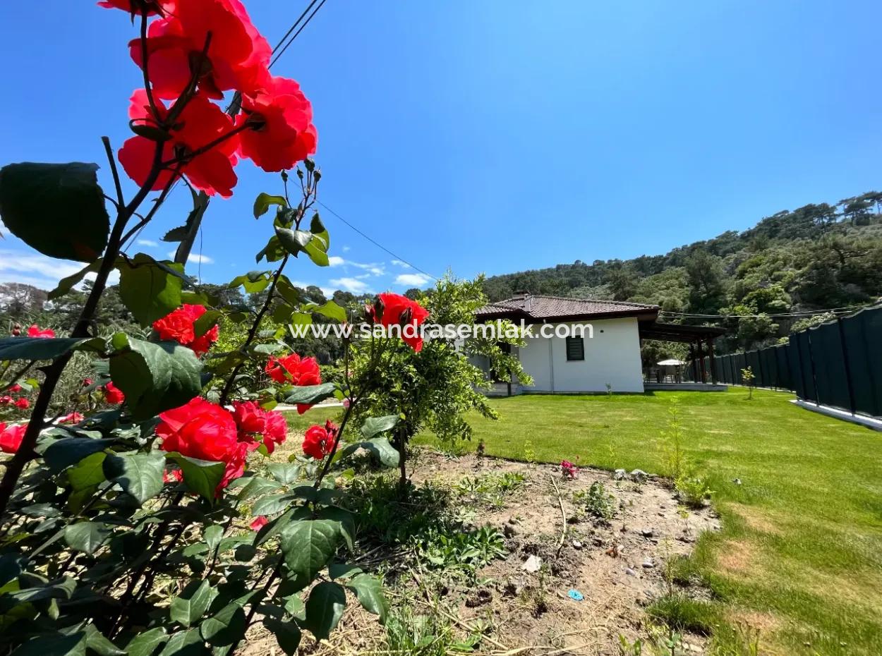 Villa Zendow Ortaca Mergenli